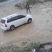 Faa'iidooyinka cajiibka ah ee toonta iyo geedka cadaygu u leeyihin caafimaadka DAAWO