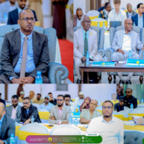 "Jidkani waxa uu dhibka ka dul qaadi doonaa gaadiidkii ku xumaan jiray"Madaxweynaha Somaliland