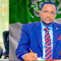 Gobolka Awdal oo Wax ka Badan Boqol Kun oo Neef Loo Fidiyay Daryeel iyo Adeeg Caafimaad