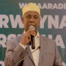 Shirweynaha 8-aad ee Dib u eegista Qorshaha Waxbarashada Qaranka. DAAWO