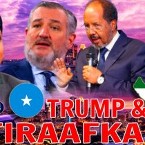 Maxay katiri Ilhan Omar  Citiraafaka Somaliland? DAAWO