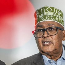 Somaliland Positions Itself as Strategic Partner in Securing the Red Sea