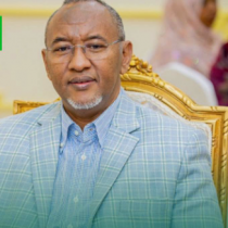 Guddoomiyaha WADDANI oo Sheegay In Xisbigu Xaqiijiyey Himiladii Loo Aasaasay
