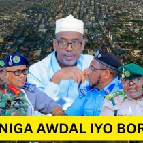 "Ictiraafka aad keentay iyo guushaad Curisay ku ciseynay Madaxweyne" Hal-Abuur Maftuux DAAWO