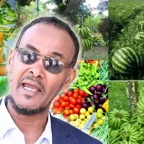 Xildhibaan Barkhad Hure oo ka Jawaabay in Golaha Wakiilada ay Muddo Kordhin Sameysanayaan DAAWO
