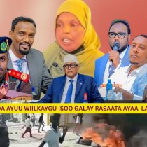 Samaron & Cisow Dagaal Waa Lagu Goblama Oo Gurimadow Ayaa Laga Dhaxla,saylacna"Madxwyane Xigenka Jsl DAAWO