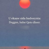 Quwadda Ku Jirta Is-dejinta