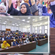 On International Women's Day, SJS calls for women inclusion in media in Somalia