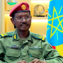 Taliyaha Ciidamada Itoobiya Oo Masar, Suudaan Iyo Quwado Shisheeye Ku Eedeeyey Taageerada Mucaaradka
