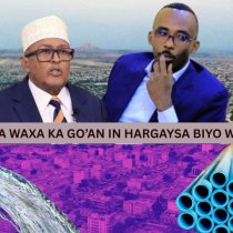 Xukuumada Somaliland oo Mamnuucday Isku socodka Gaadiidka ee Magaalada Ceerigaabo DAAWO