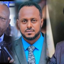 DAAWO Faysalaw " Sabool Dibirey Iyo Dameero Sayax Daaqay-ba Way Danaaniyaan"