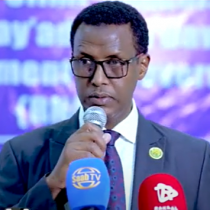 DAAWO Maxaa kasoo baxay shirkii xasaasiga ee Somalia ku saabsanaa ee New York?