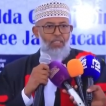 Wasiir Kaahin: "Somaliland oo kaliya waxba kama qaban-karto ilaalinta badda cas"