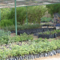 sidii Somaliland ay hawadeeda dib ugu maamuli lahayd, iyadoo aan la ictiraafin:
