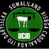 DAAWO: Somaliland Ma Qabiilbaa Mise Waa Qaran ? Siyaasi Reer Awdal  Ah  Prof.  Xaamud Cali Cilmi
