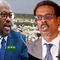 DAAWO: Wasiir Siciid Sulub Oo Lagu  Eedeeyay In Uu Hawlgab Ka Dhigay Wasaarada Xanaanada Xoolaha