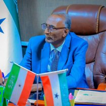 Machadka Istaraajiyadda Australia oo Xukuumadooda ugu Baaqay inay Aqoonsato Somaliland