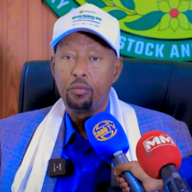 Somaliland oo ka hor tagaysa Xannuun khatar ah oo ka dilaacay wadamada la jaarka ah. DAAWO