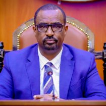 Golaha Wakiillada Somaliland Oo La Horkeenay Qabyo-qoraalka Xeerka Ergooyinka Diblomaasiyadeed