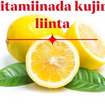 Danjire Baashe Cawil oo sheegay in loo baahan yahay inay beesha caalamku aqoonsato JSL.